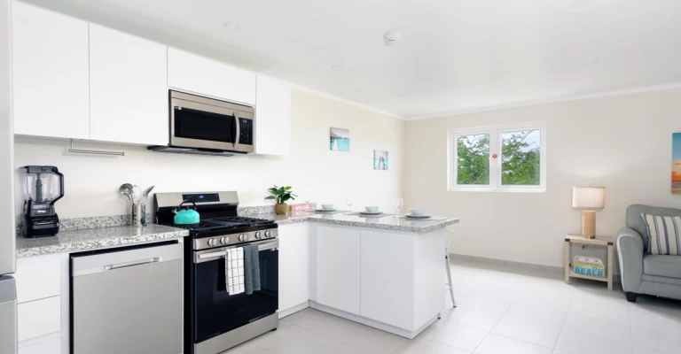 Summer Side Condo