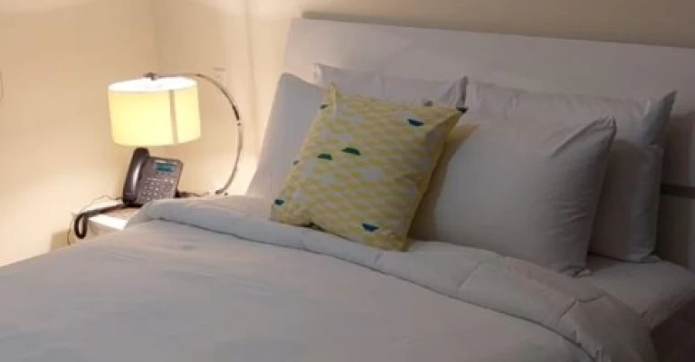 Palmaruba Rental 02