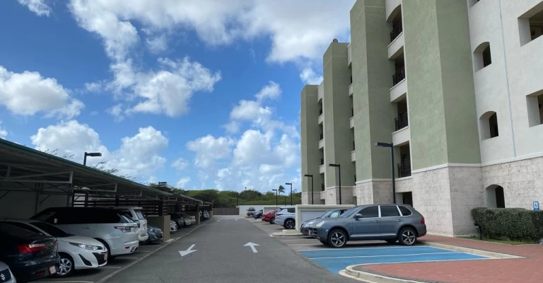 Palmaruba Rental 02