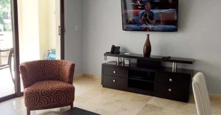 Palmaruba Rental 01