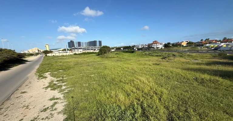 Wayaca 10.533 m²