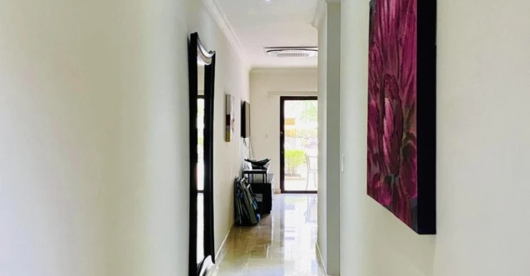 Palmaruba Condo Eagle