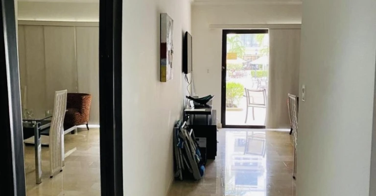 Palmaruba Condo Eagle