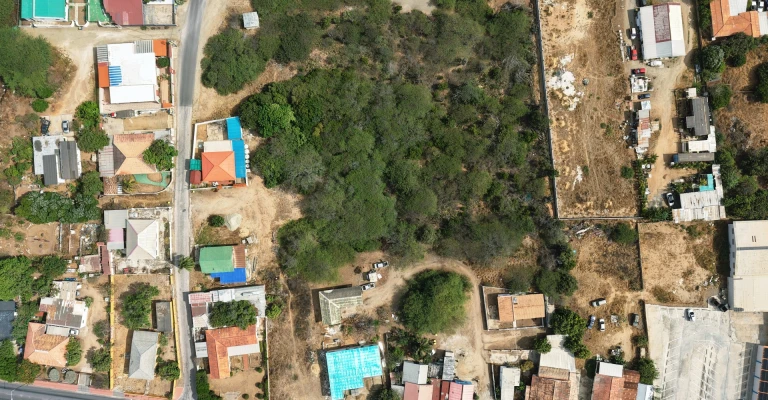 Savaneta 11.800 m2