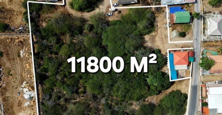 Savaneta 11.800 m2
