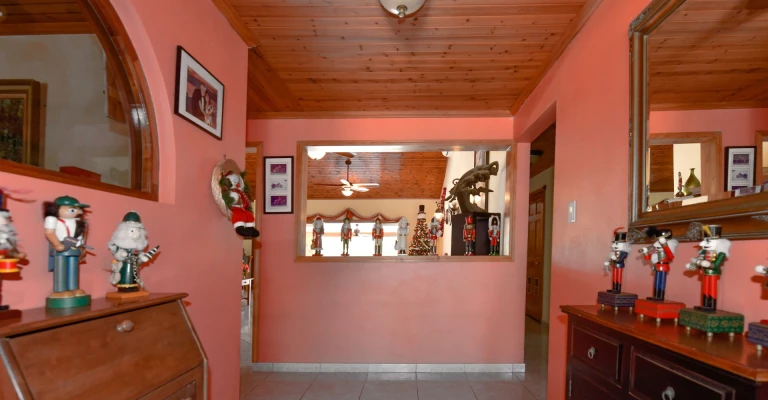 San Fuego 55