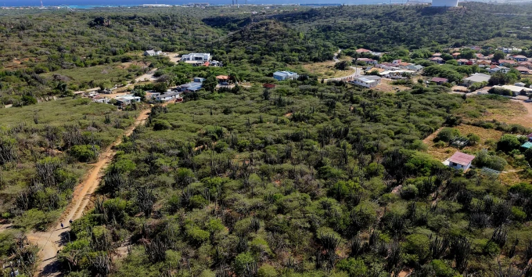 Balashi 12.090 m2