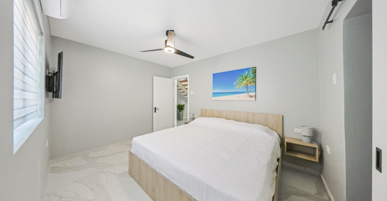 Palm Beach 88C