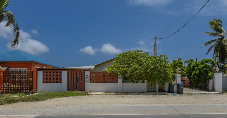 Savaneta 364