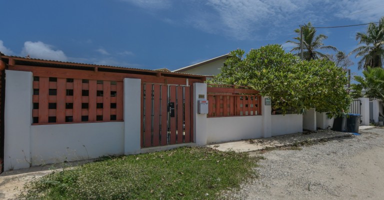 Savaneta 364
