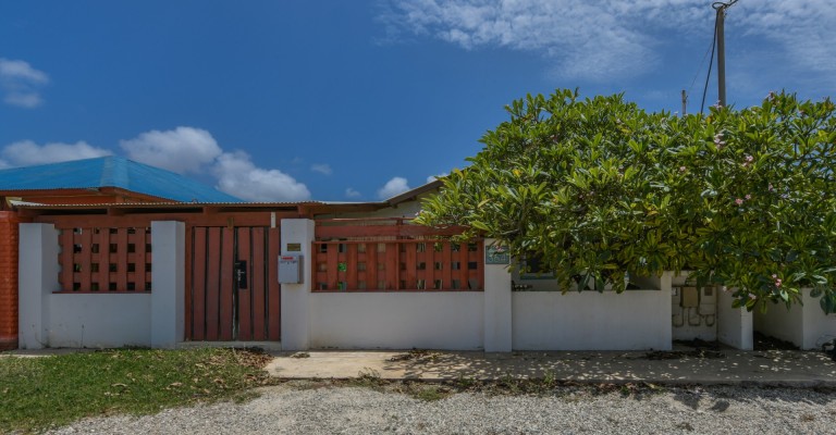 Savaneta 364