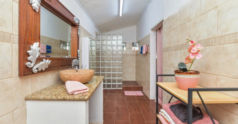 Savaneta 364