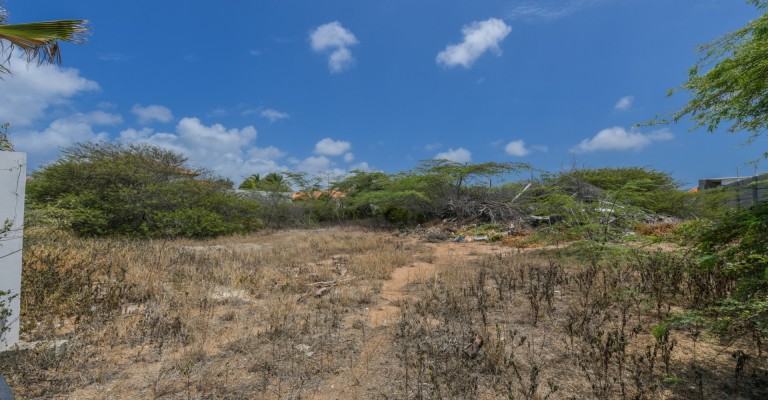 Savaneta 364